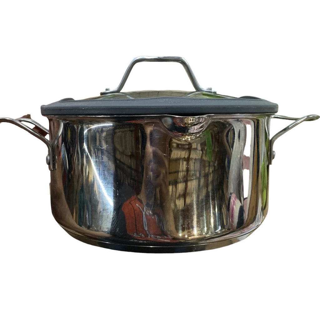 Princess House Heritage Signature Set of Two Nonstick Pots with Lids
