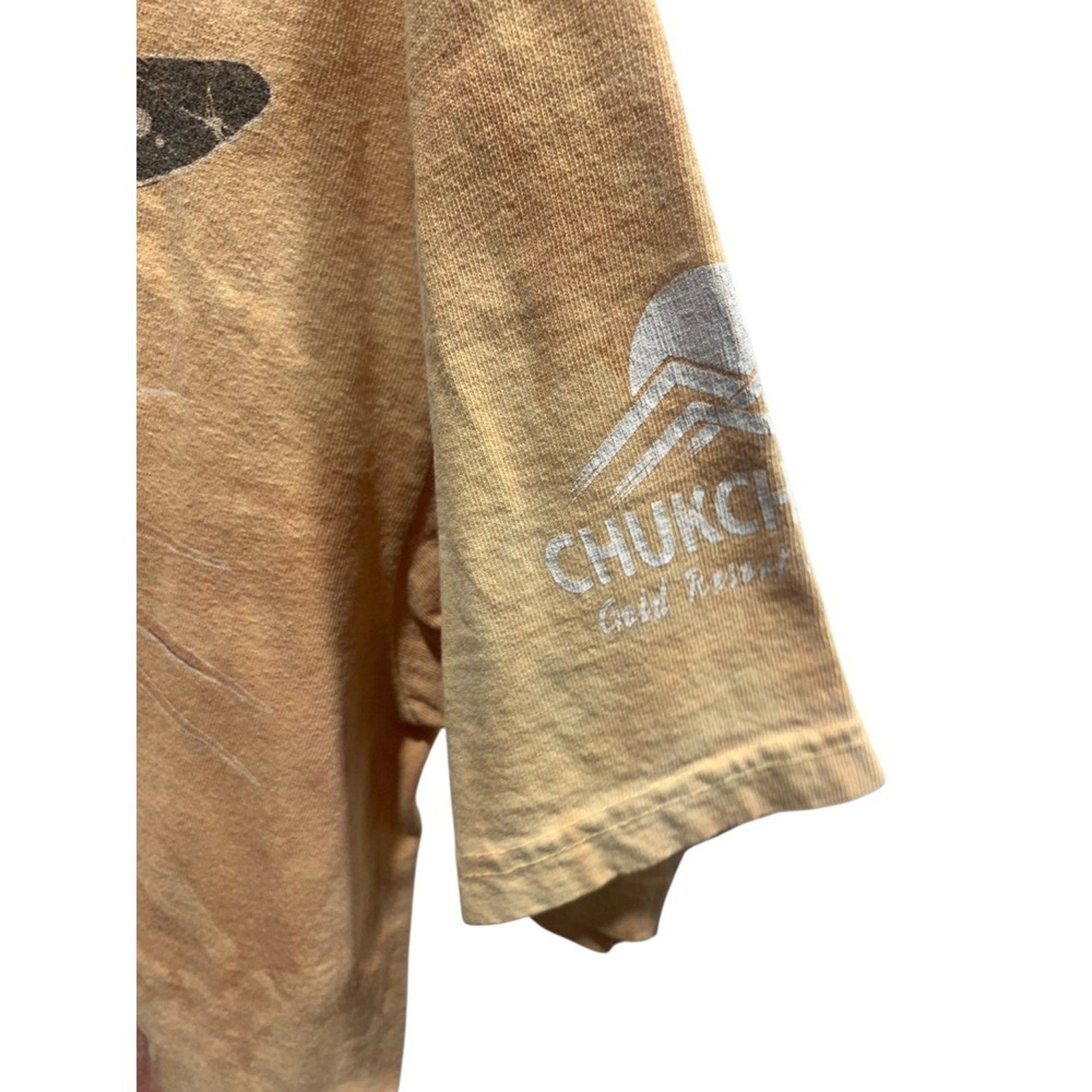 The Mountain T Shirt Mens Large Chukchansi Gold Resort Native Horses Tee