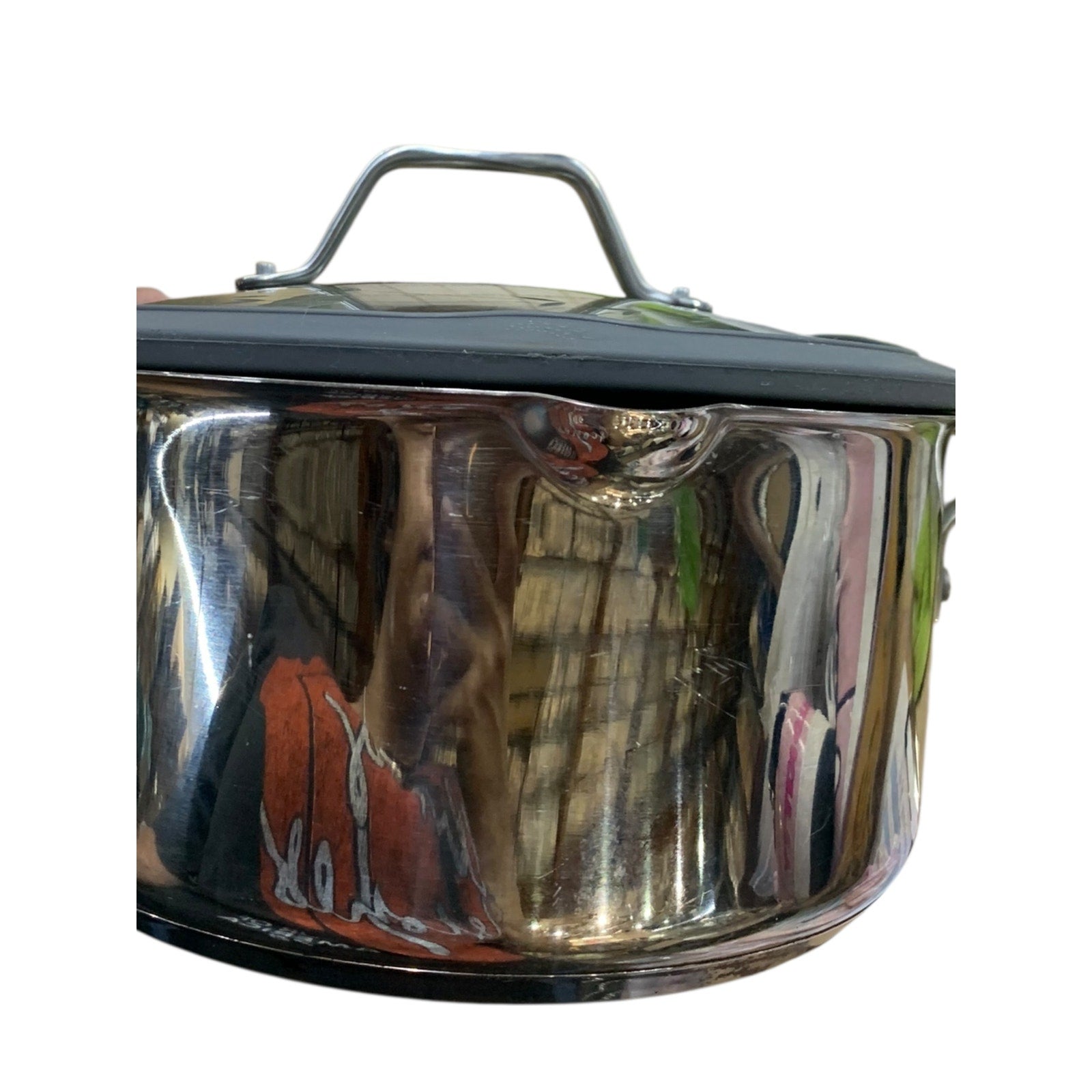 Princess House Heritage Signature Set of Two Nonstick Pots with Lids
