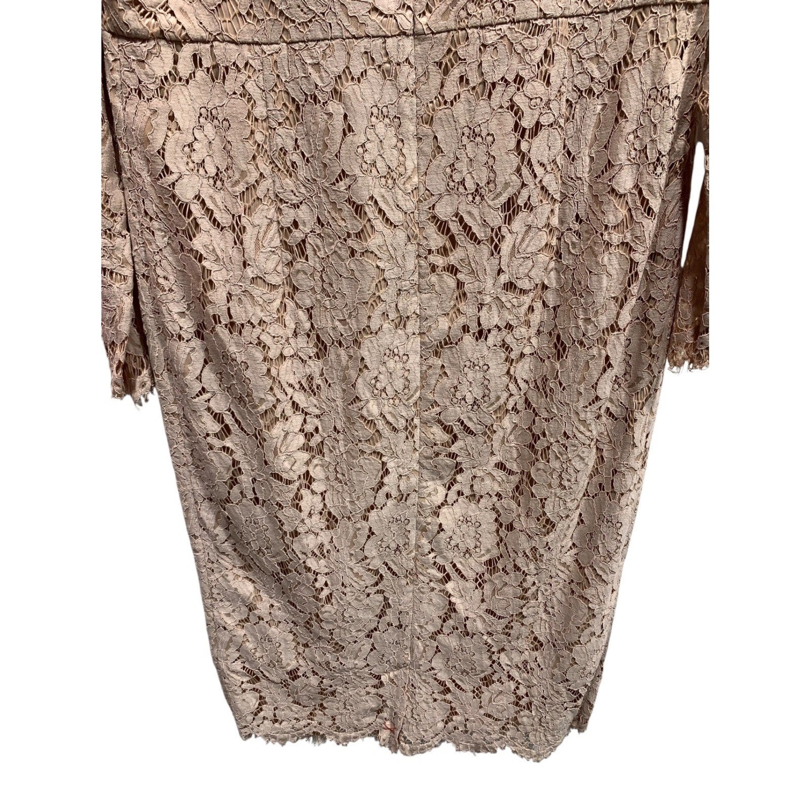 Boden Women Pink Floral Lace Long Sleeve Romanic Classic Modest Chic Sz US L Mid