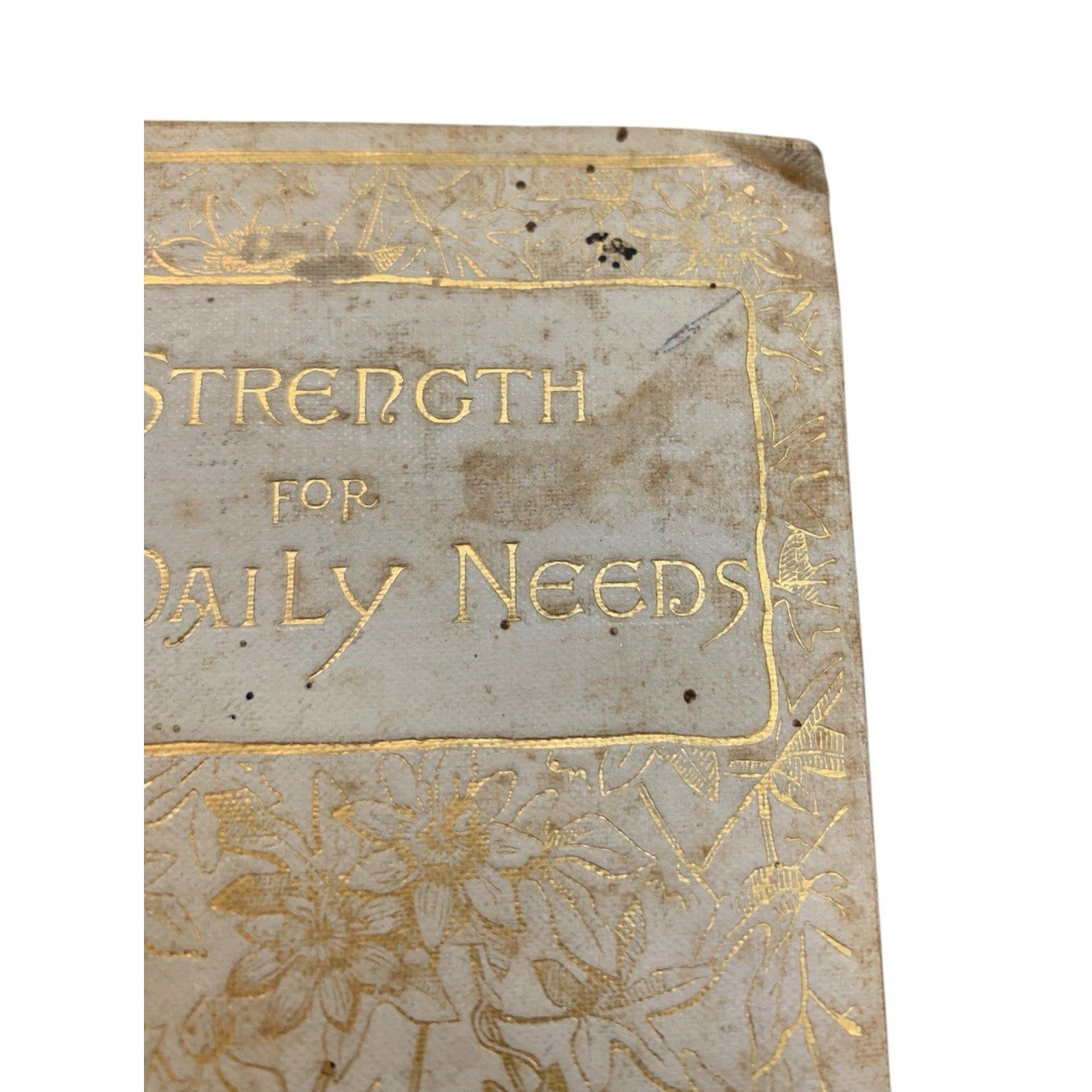 1891 - Daily Strength for Daily Needs