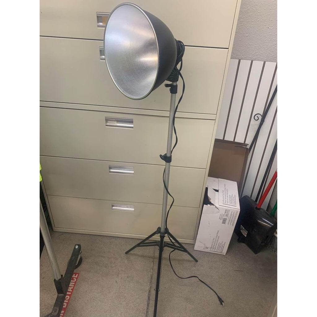 Pro master lighting with tripods, lightbulbs, and bag