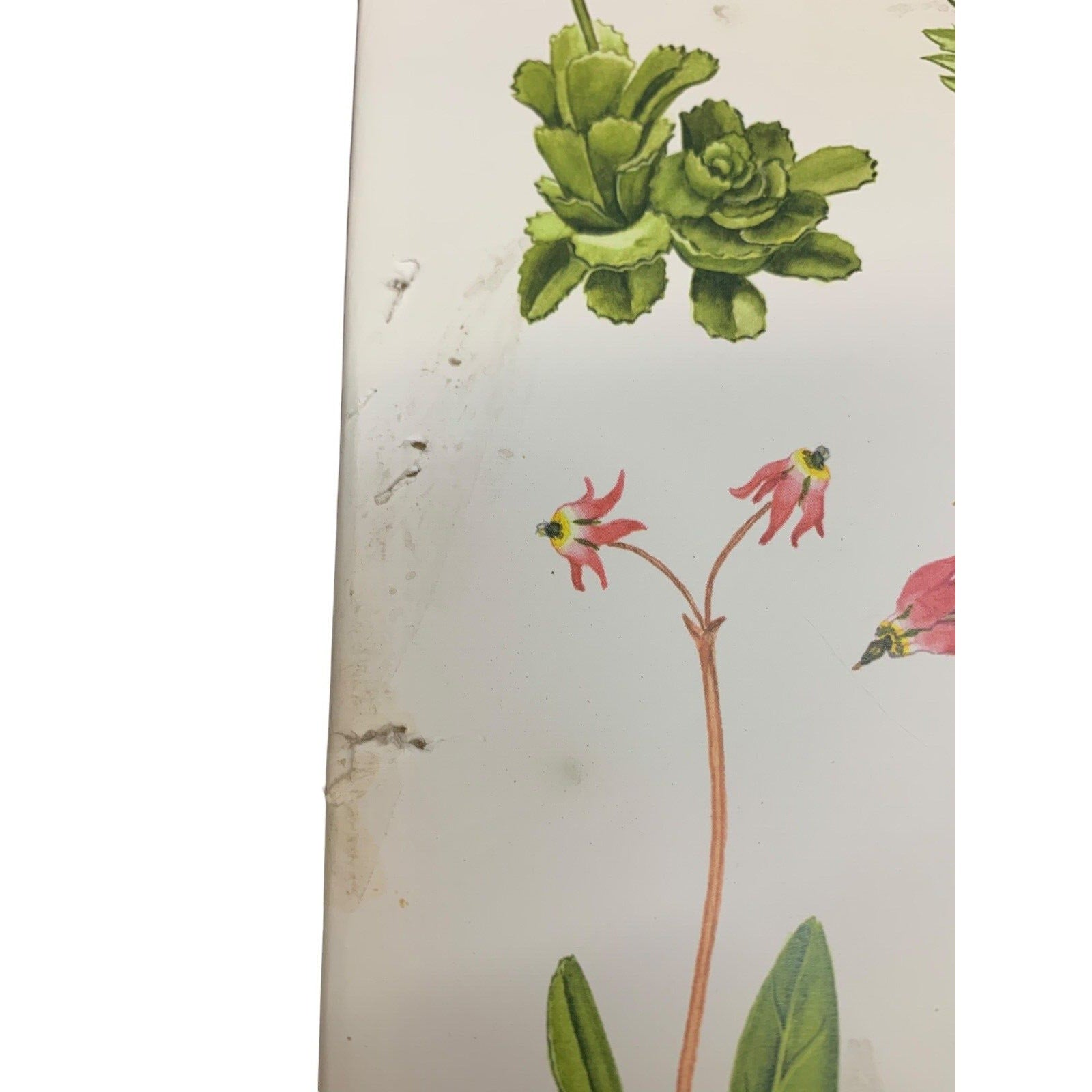 An Illustrated Flora of Yosemite National Park