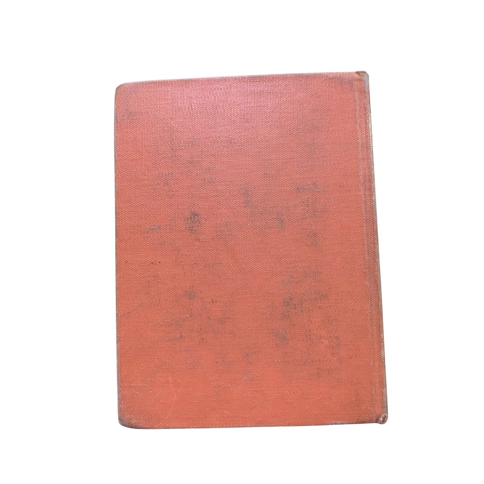 Seatmates by Mary K. Reely - Vintage Children's Book Illustrated by Wilkin