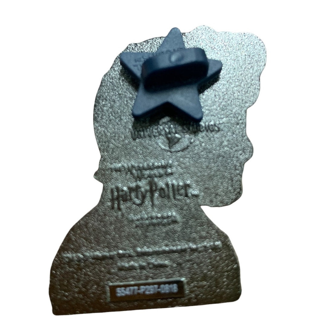 Universal Pin Harry Potter Profile Texture Voldemort in Harry Potter Silhouette